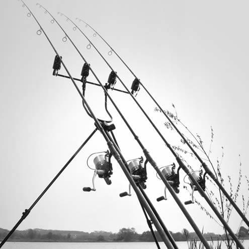 DIFERITE - 557989503324959747495635634521n.jpg